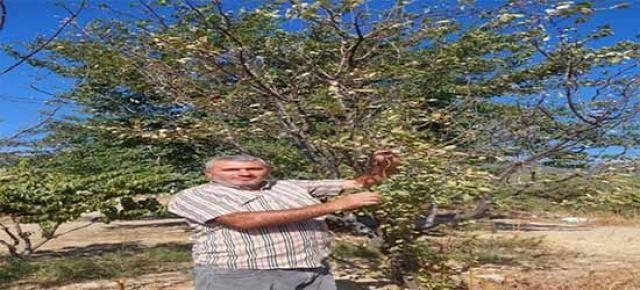 Manisa’dan Türkiye’yi Buz Kestiren Bir Haber Geldi.